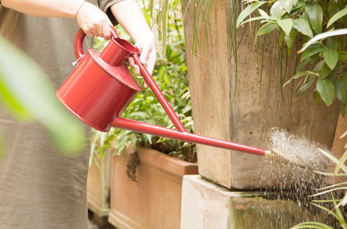 ガーデニング研修